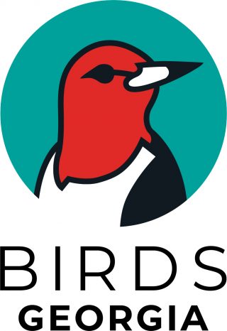 Birds Georgia