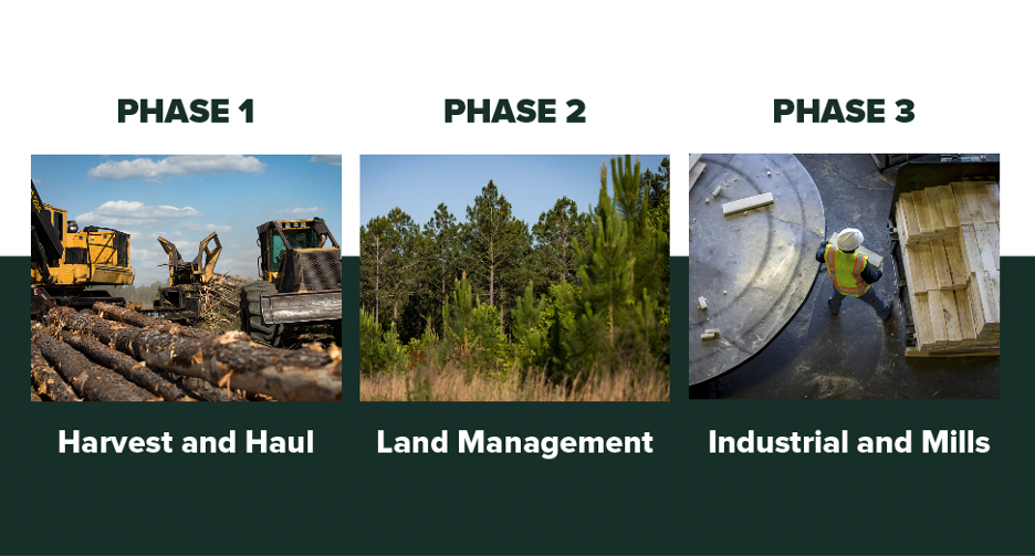 The labor study has 3 phases, Harvest and Haul with picture showing a logging operation, Land Management with picture showing a forest stand in different stages of growth, and Industrial and Mills, with a man handling lumber